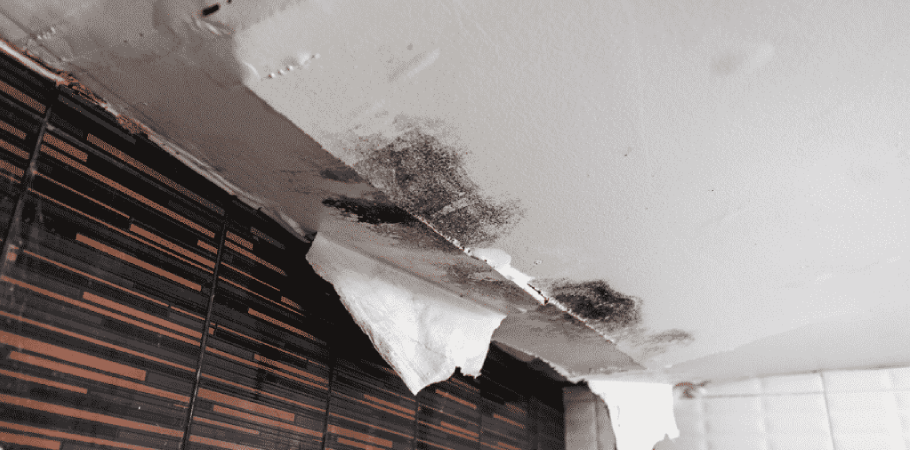 Leaky Roof Repair