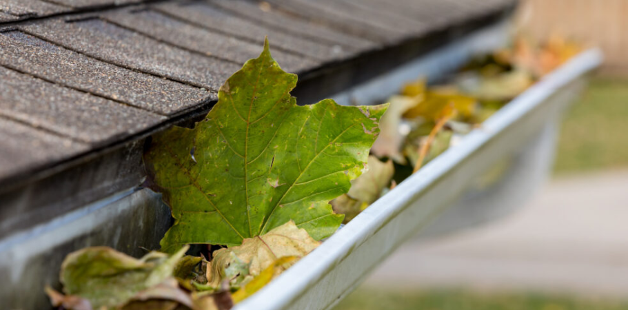 Roof Cleaning and Maintenance