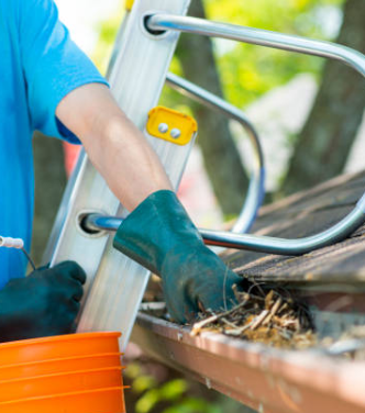 Roof Cleaning Process